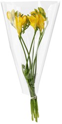 Hoes 35*25*10cm rOPP35 terra 3000 stuks per doos - transparant