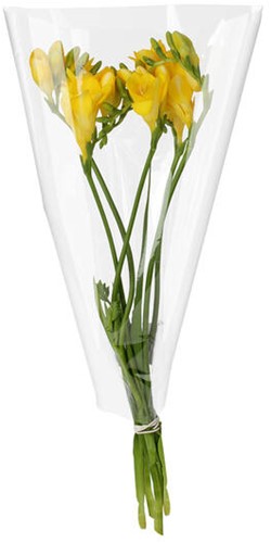 Hoes 35*30*10cm rOPP35 Recy clear terra 3500 stuks per doos - transparant