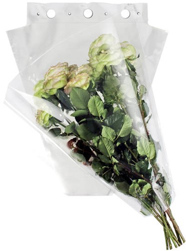Hoes 40*35*15cm OPP35 terra 2000 stuks per doos - transparant