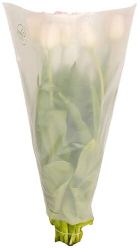 Hoes 40*30*12cm RPE40 Recy 2500 stuks per doos- transparant