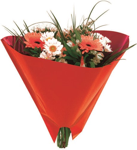 Hoes Angelo 30*30cm OPP35 Fond 1000 stuks per doos - rood