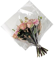 Hoes Quadrum 40*40cm OPP35 1000 stuks per doos - transparant