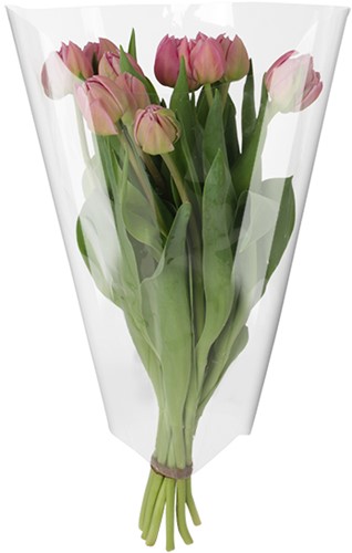 Hoes 40*30*12cm OPP30 3500 stuks per doos - transparant