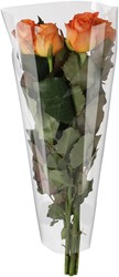 Hoes 40*30*10cm OPP35 70%  recycle 3000 stuks per doos - transparant