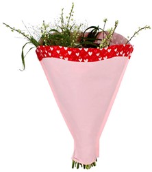 Hoes 52*44*12cm 45g 1000 per doos- wit kraft