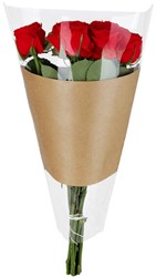 Hoes 50*30*10cm OPP35/kraft baan parallel 600 stuks per doos - transparant