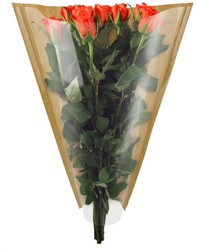Hoes 50*35*10cm OPP30 45g kraft 1000 stuks per doos - transparant