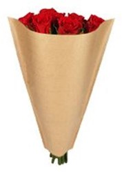 Hoes 38*30*10cm Recy kraft 45g Terra 1000 stuks per doos - naturel